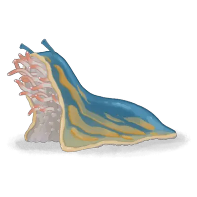Corpse Slug